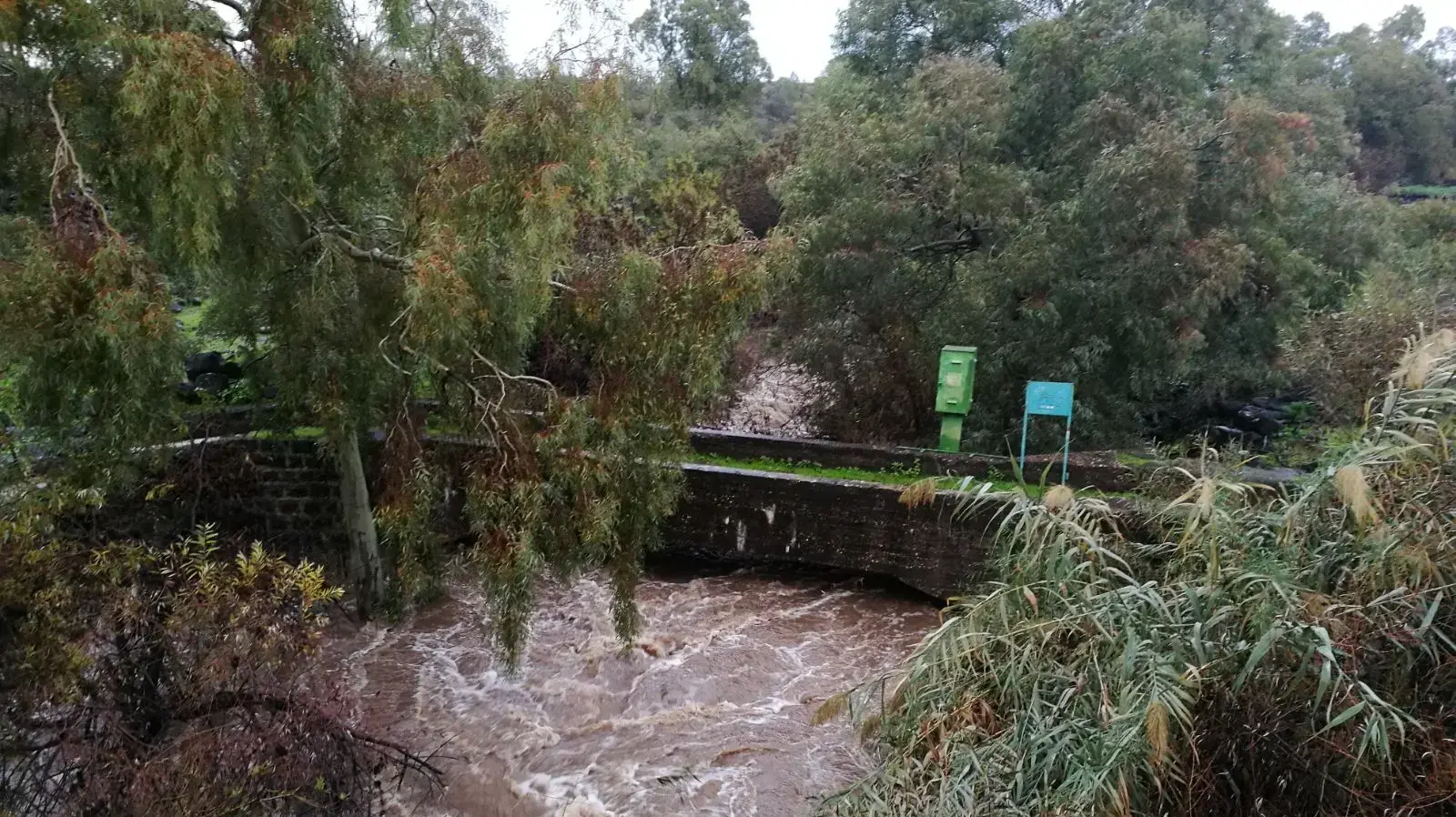 זרימת מים בנחל יהודיה ברמת הגולן זרימת מים בנחל יהודיה ברמת הגולן