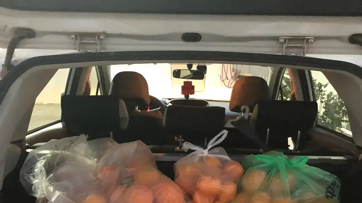 גניבת תפוזים מפרדס, מטולה