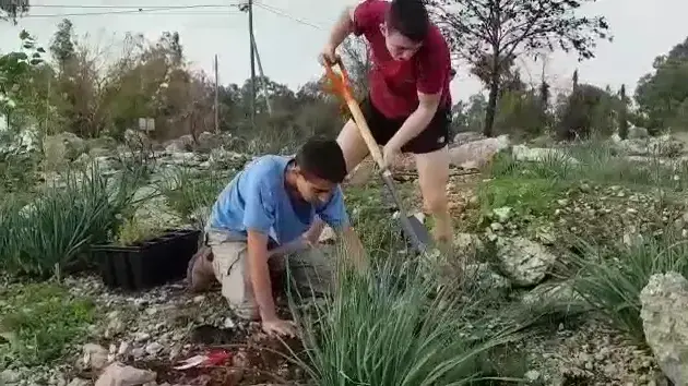 לקראת ט"ו בשבט: נטיעות בכוכב יאיר
