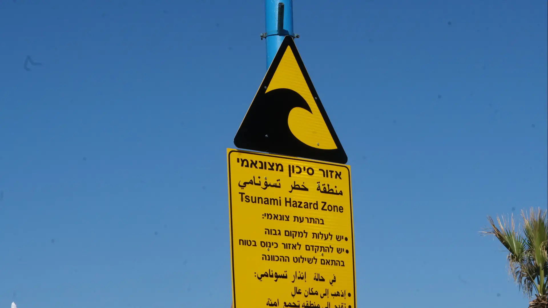 חשיפת שלטי האזהרה מצונאמי בהשתתפות יונה יהב, רציף אהרון רוזנפלד 6, חוף בת גלים, חיפה חשיפת שלטי האזהרה מצונאמי בהשתתפות יונה יהב, רציף אהרון רוזנפלד 6, חוף בת גלים, חיפה