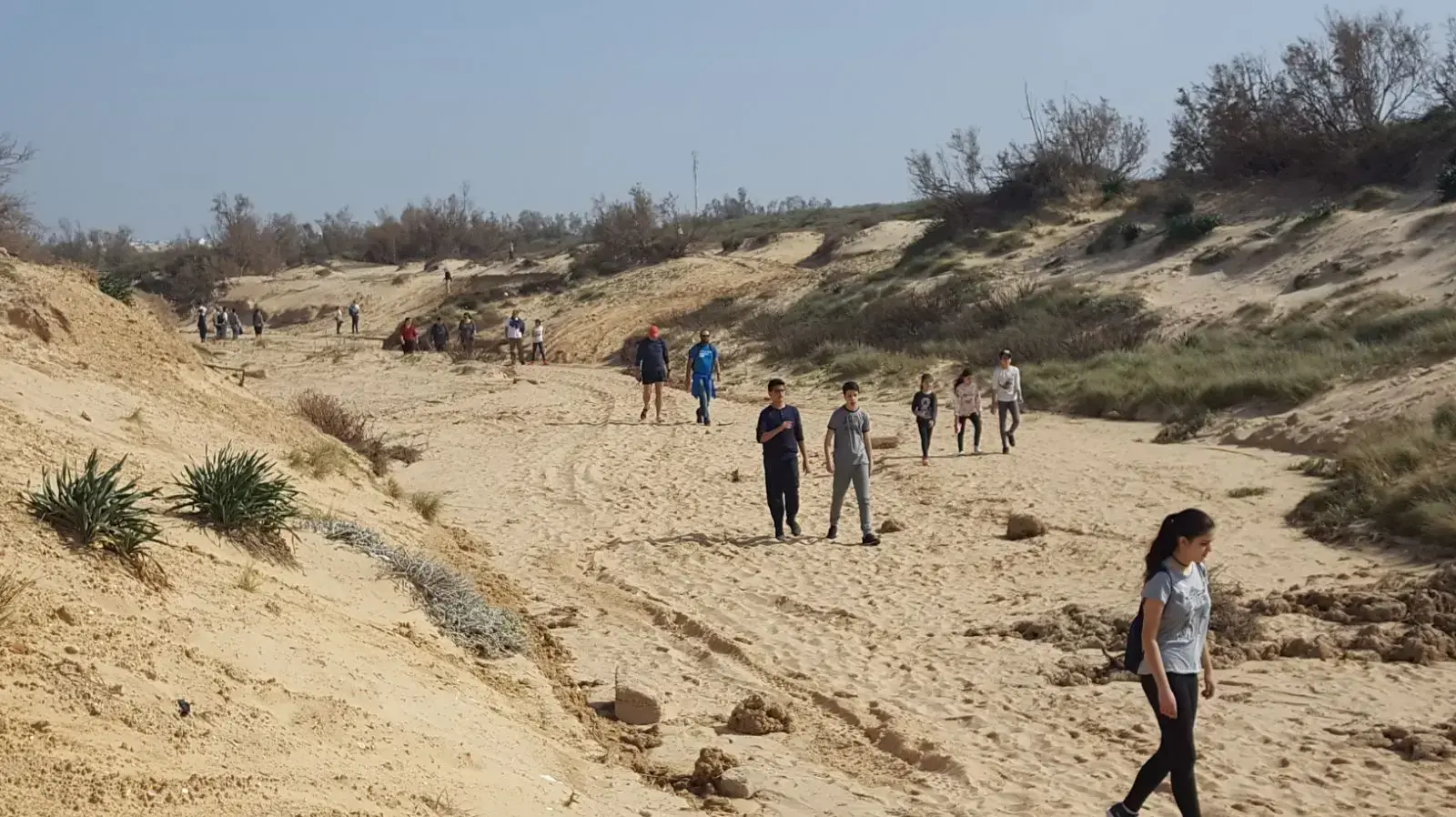 מטיילים בחולות אשקלון. 3 בפברואר 2018 מטיילים בחולות אשקלון. 3 בפברואר 2018