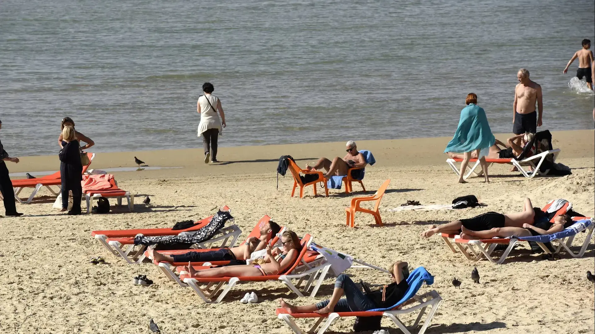 מזג אוויר קייצי בחופי תל אביב 4 בפברואר 2018