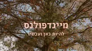 עטיפת הספר מיינדפולנס