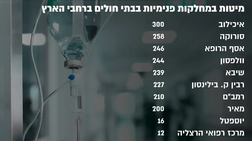 אינפו פעילות המיטות הפנימיות וגריאטריה חריפה, 2016 אינפו פעילות המיטות הפנימיות וגריאטריה חריפה, 2016