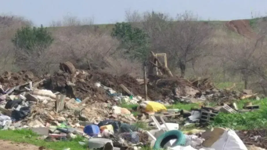 ילדי שיבלי וכפר תבור נוטעים עצים ושכנות טובה ילדי שיבלי וכפר תבור נוטעים עצים ושכנות טובה