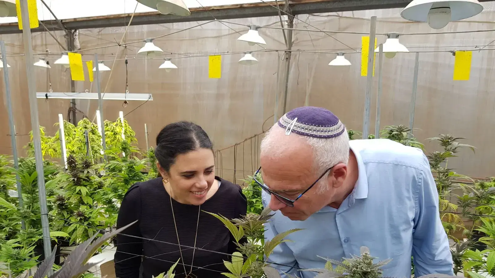שר החקלאות ופיתוח הכפר אורי אריאל ושרת המשפטים איילת שקד סיירו באתר לגידול קנאביס, 8 בפברואר 2018 שר החקלאות ופיתוח הכפר אורי אריאל ושרת המשפטים איילת שקד סיירו באתר לגידול קנאביס, 8 בפברואר 2018