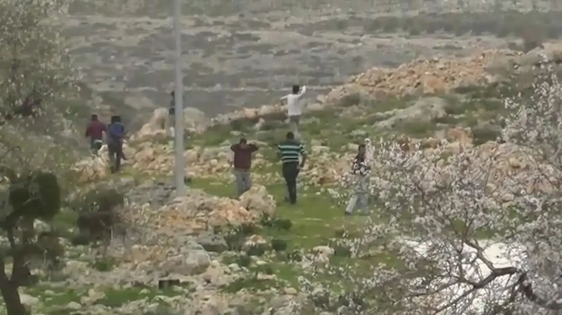 ישראלים מיידי אבנים
תיעוד: עשרות מתנחלים יידו אבנים לעבר בי"ס 
בכפר בורין ולעבר פעילי שמאל בחוות מעון