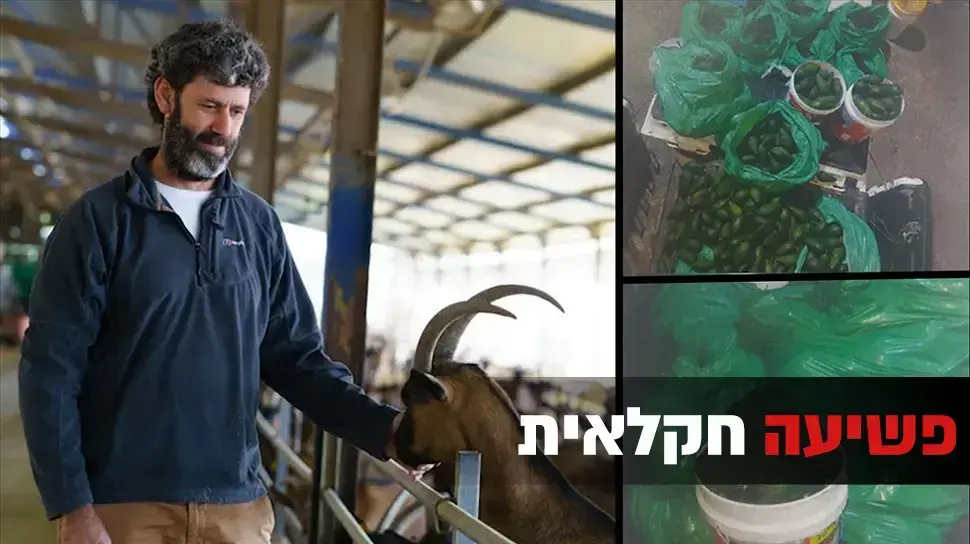 חיצונית - הפשיעה החקלאית בצפון 