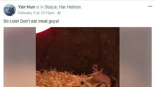 פסוט של יאיר נתניהו פסוט של יאיר נתניהו