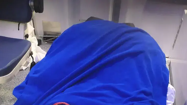 רפונזל, כלבה שנמצאה בציריך, שוויץ, אחרי שעברה מרחק של 300 ק"מ מפרנקפורט, גרמניה, פברואר 2018 רפונזל, כלבה שנמצאה בציריך, שוויץ, אחרי שעברה מרחק של 300 ק"מ מפרנקפורט, גרמניה, פברואר 2018