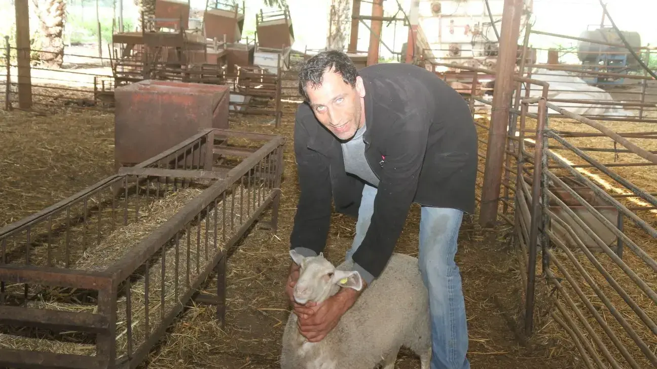 יגיל שמואל, המשק שלו בהסגר בגלל כלבת, מושב ירדנה, 18 בבפרואר 2018 יגיל שמואל, המשק שלו בהסגר בגלל כלבת, מושב ירדנה, 18 בבפרואר 2018