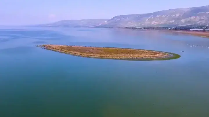 אי בכנרת ליד קיבוץ מעגן אי בכנרת ליד קיבוץ מעגן
