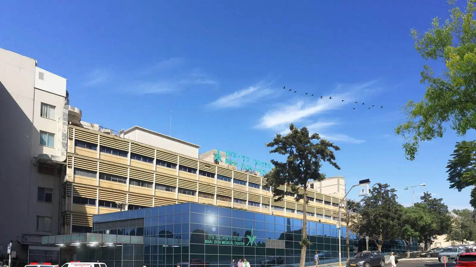 הדמית המיון הממוגן בבית החולים בני ציון שבחיפה הדמית המיון הממוגן בבית החולים בני ציון שבחיפה