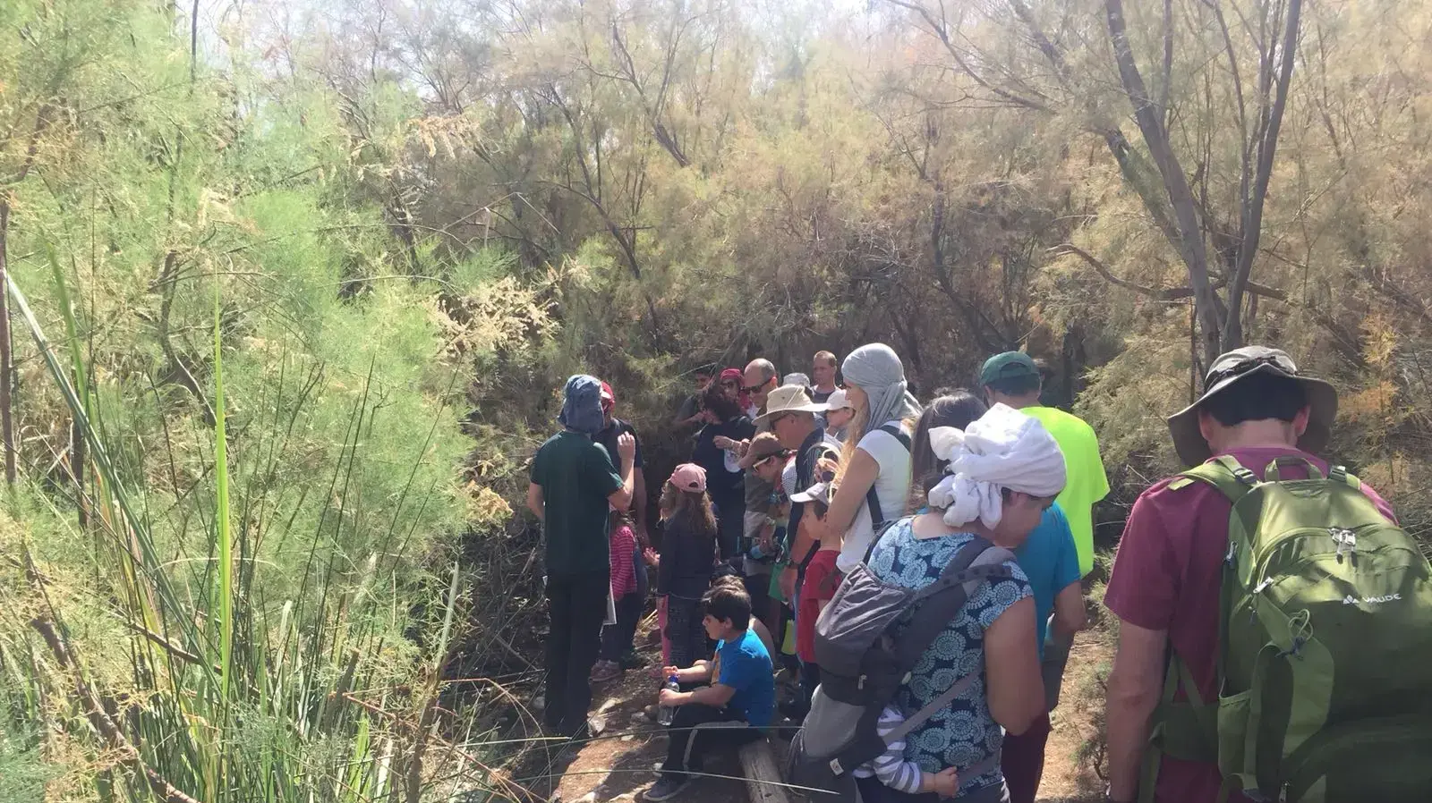 מטיילים בעינות צוקים, 3 במרץ 2018 מטיילים בעינות צוקים, 3 במרץ 2018