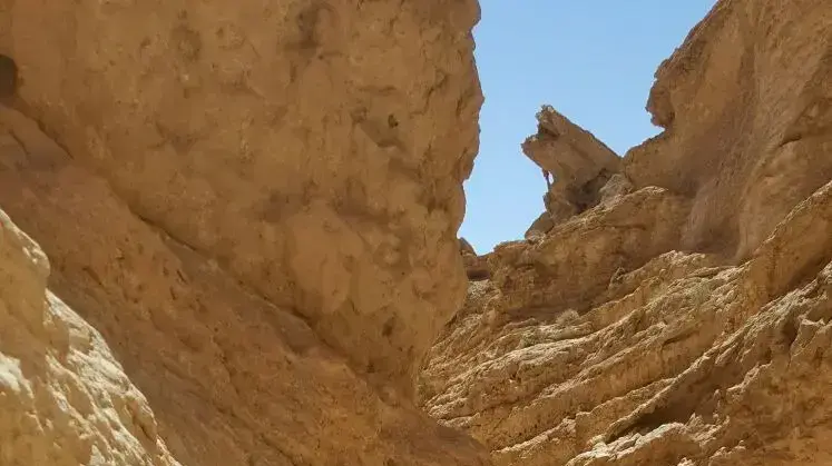 משפחת רוטמן אייזנמן מטיילת משפחת רוטמן אייזנמן מטיילת