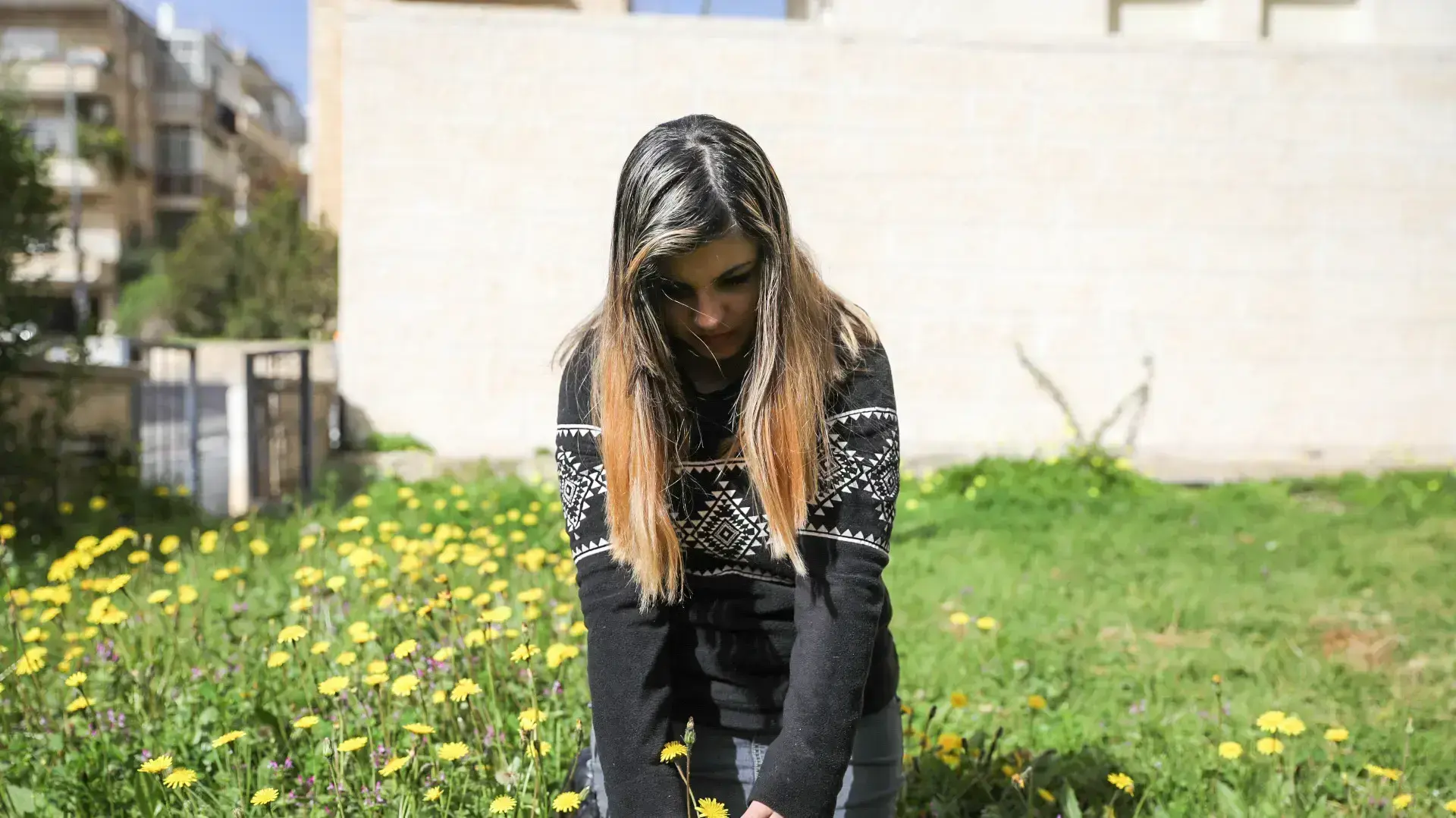 שיר ערגי שיר ערגי