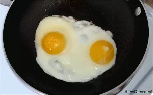 גיף ביצת עין