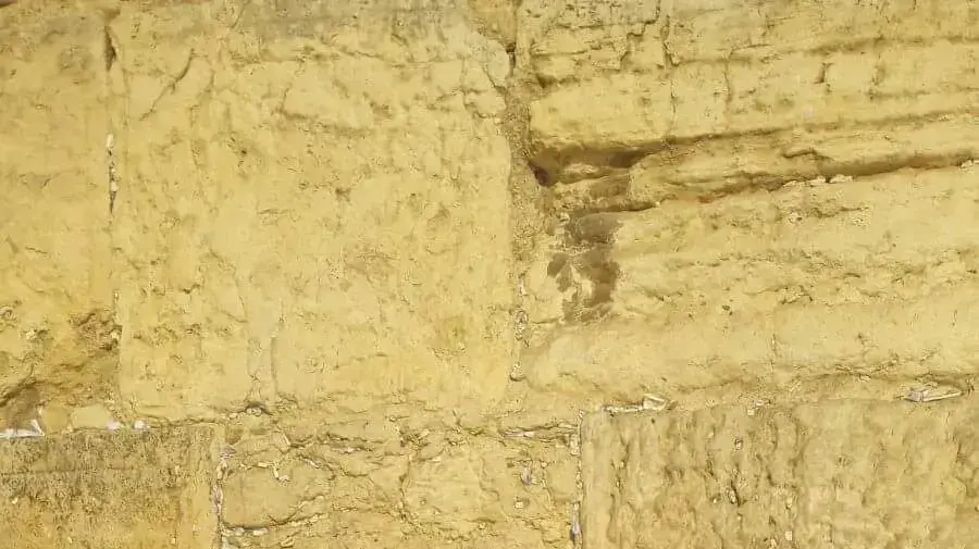 הנרצח יורי כושר בן 53 מיקנעם הנרצח יורי כושר בן 53 מיקנעם