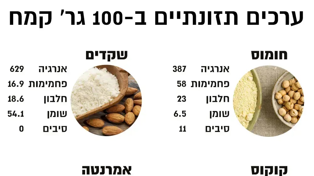 אינפוגרפיקה קמחים לפסח ללא גלוטן אינפוגרפיקה קמחים לפסח ללא גלוטן
