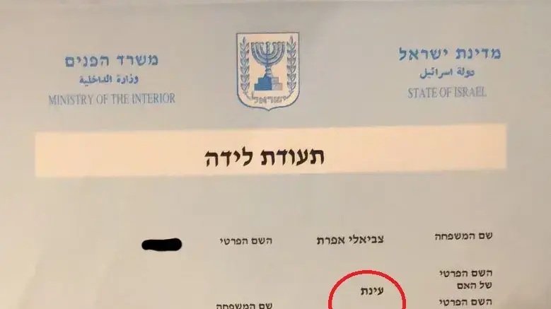 דוגמה לתעודת לידה של אחד מילדי משפחת צביאלי אפרת - 2007 דוגמה לתעודת לידה של אחד מילדי משפחת צביאלי אפרת - 2007
