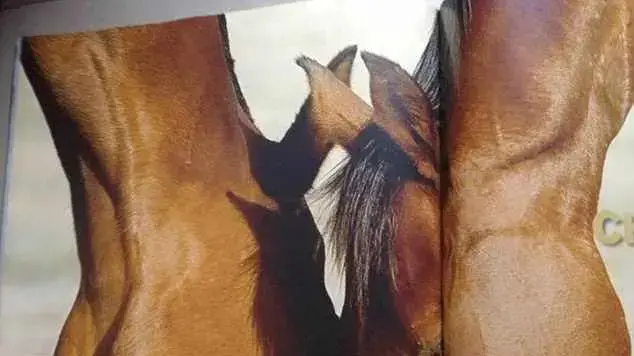 אשליה אופטית אשליה אופטית