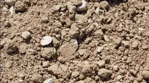 רימון שאיתר כוח צה?ל באזור מעבר קרני שבמרכז רצועת עזה 7 באפריל 2018 רימון שאיתר כוח צה?ל באזור מעבר קרני שבמרכז רצועת עזה 7 באפריל 2018