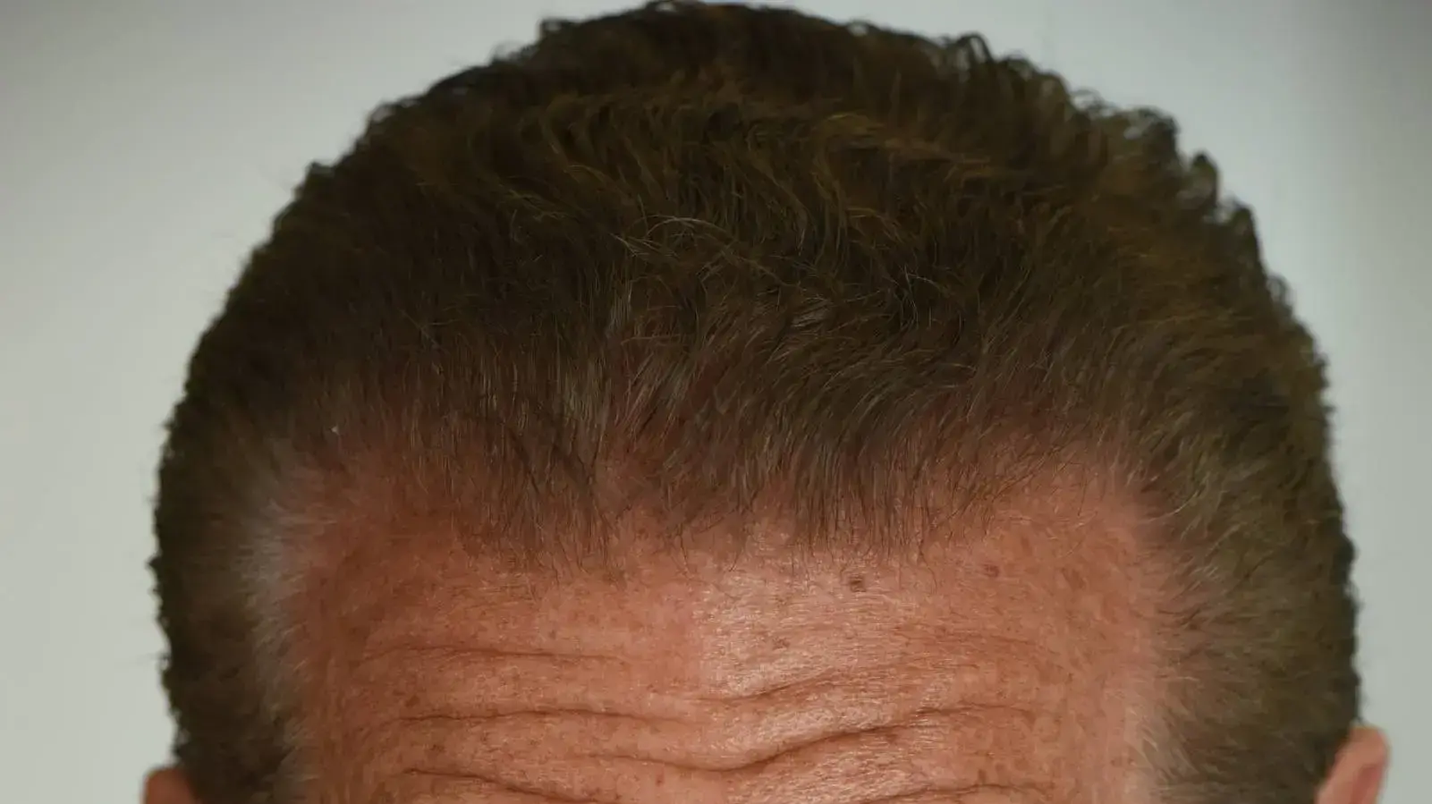 מייק בורשטיין מייק בורשטיין