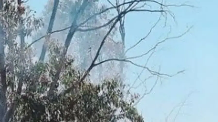 עפיפונים עם בקבוקי תבערה בעוטף עזה, 15 באפריל 2018 עפיפונים עם בקבוקי תבערה בעוטף עזה, 15 באפריל 2018