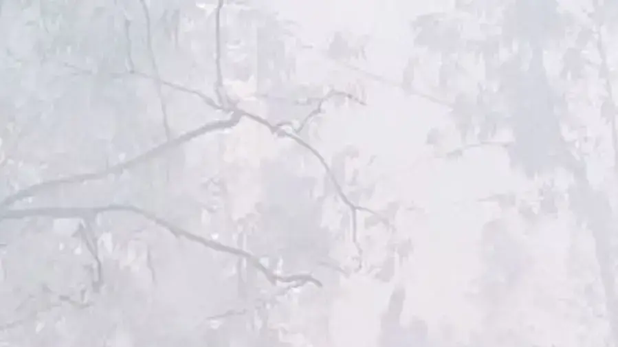 עפיפונים עם בקבוקי תבערה בעוטף עזה, 15 באפריל 2018 עפיפונים עם בקבוקי תבערה בעוטף עזה, 15 באפריל 2018