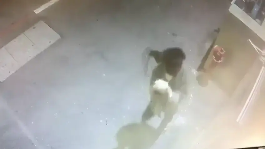 נתין זר בן נעצר בחשד להרס אינטרקום של המשטרה בדרום תל אביב נתין זר בן נעצר בחשד להרס אינטרקום של המשטרה בדרום תל אביב