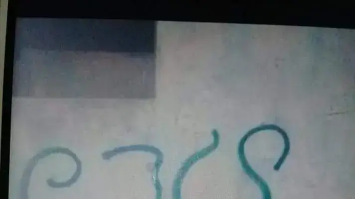 כתובות נאצה רוססו בכפרים לובן א-שרקייה ואסווייה שבאזור שכם, 17 באפריל 2018 כתובות נאצה רוססו בכפרים לובן א-שרקייה ואסווייה שבאזור שכם, 17 באפריל 2018