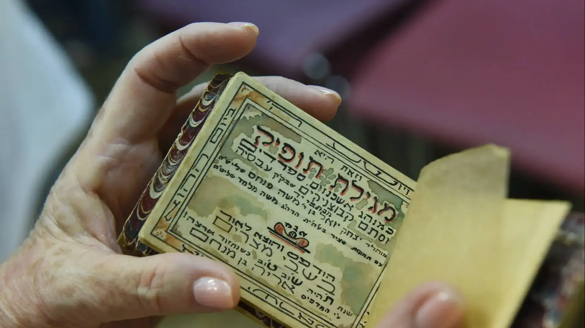תערוכה של אריה בן מנחם, ניצול שואה, גלילות
תערוכה של אריה בן מנחם, ניצול שואה, גלילות