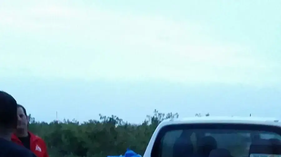 גנבים מטע אבוקדו פשיעה חקלאית 26 באפריל 2018 גנבים מטע אבוקדו פשיעה חקלאית 26 באפריל 2018
