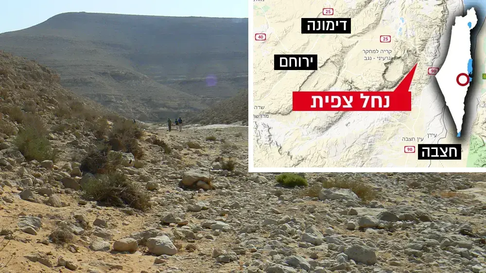 נחל צפית נחל צפית