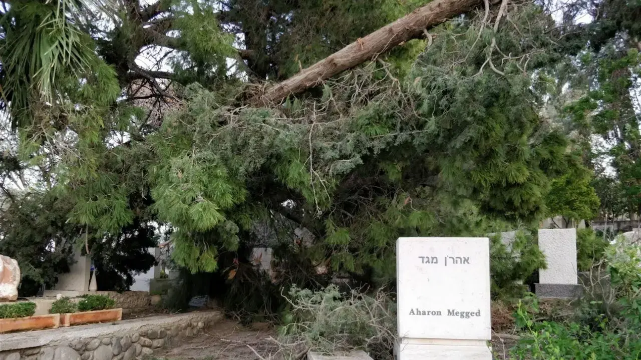 נזקים קשים לקברי חללי צה"ל בדגניה א. את היריעה הניחו אנשי משרד הביטחון שהגיעו לבחון את הנזקים, 28 באפריל 2018 נזקים קשים לקברי חללי צה"ל בדגניה א. את היריעה הניחו אנשי משרד הביטחון שהגיעו לבחון את הנזקים, 28 באפריל 2018