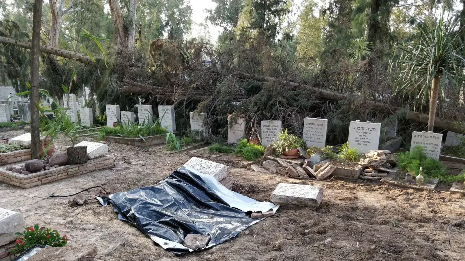 נזקים קשים לקברי חללי צה"ל בדגניה א נזקים קשים לקברי חללי צה"ל בדגניה א