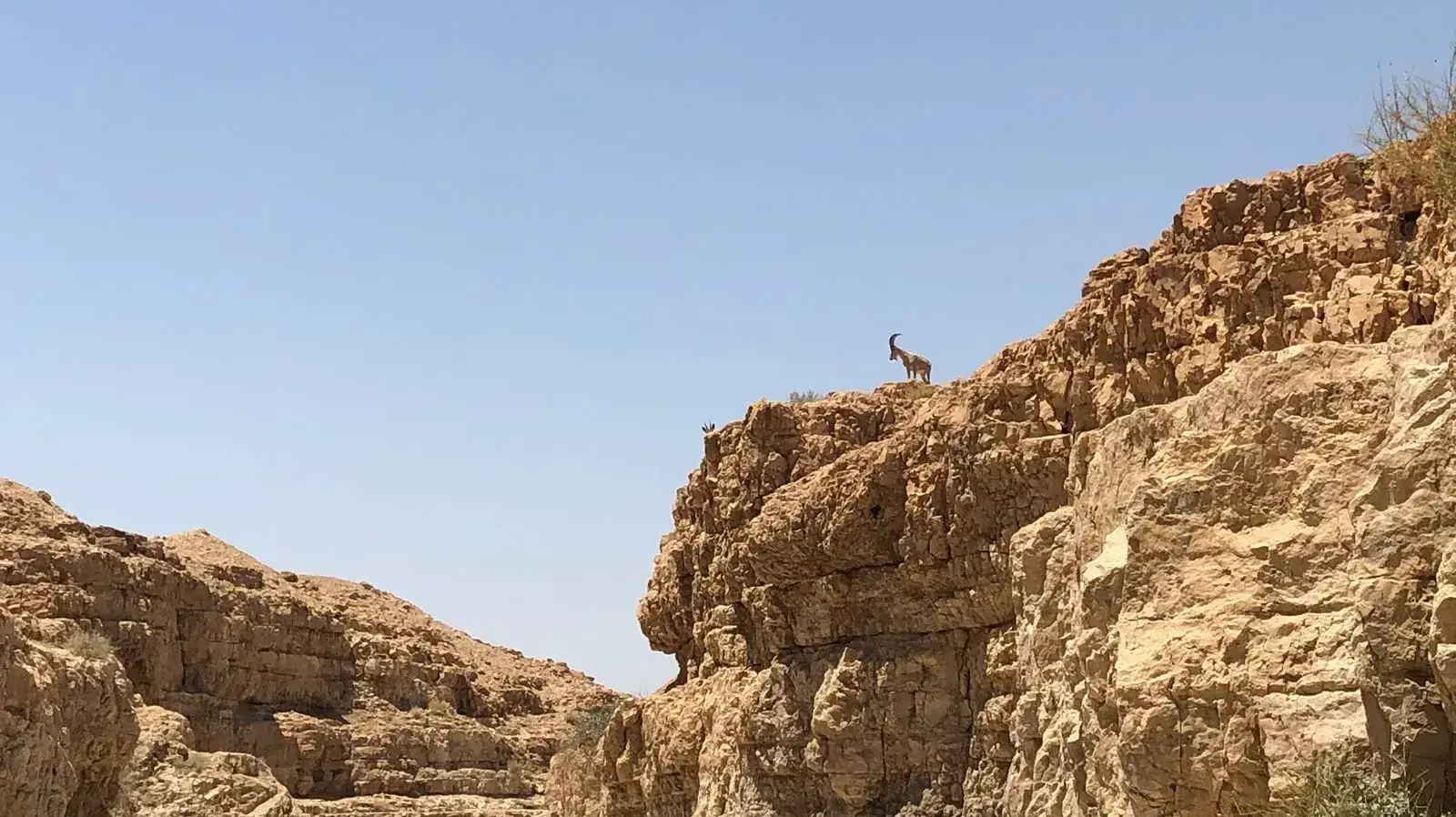 נחל צפית, 29 באפריל 2018 נחל צפית, 29 באפריל 2018