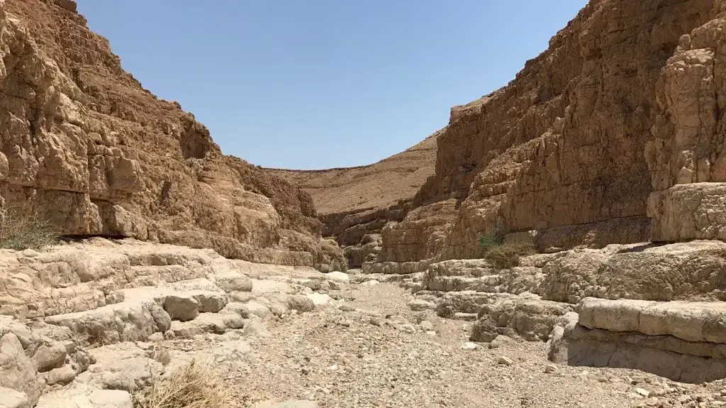 נחל צפית, 29 באפריל 2018 נחל צפית, 29 באפריל 2018