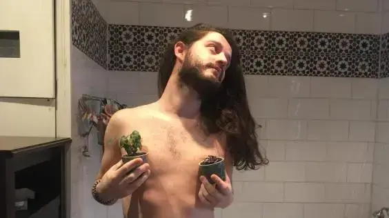 חזה גברי חזה גברי