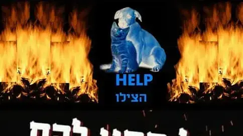 קמפיין נגד שריפת בעלי חיים במדורות ל"ג בעומר. 2 במאי 2018 קמפיין נגד שריפת בעלי חיים במדורות ל"ג בעומר. 2 במאי 2018