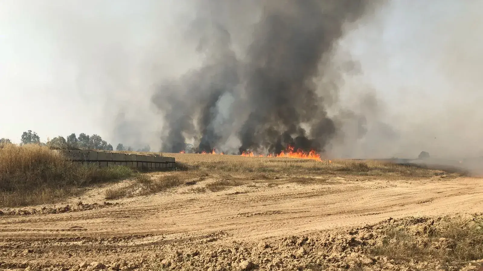 השריפה בשדות חברת מושבי הנגב (המשותפת ליישובי המועצות מרחבים ושדות נגב).
