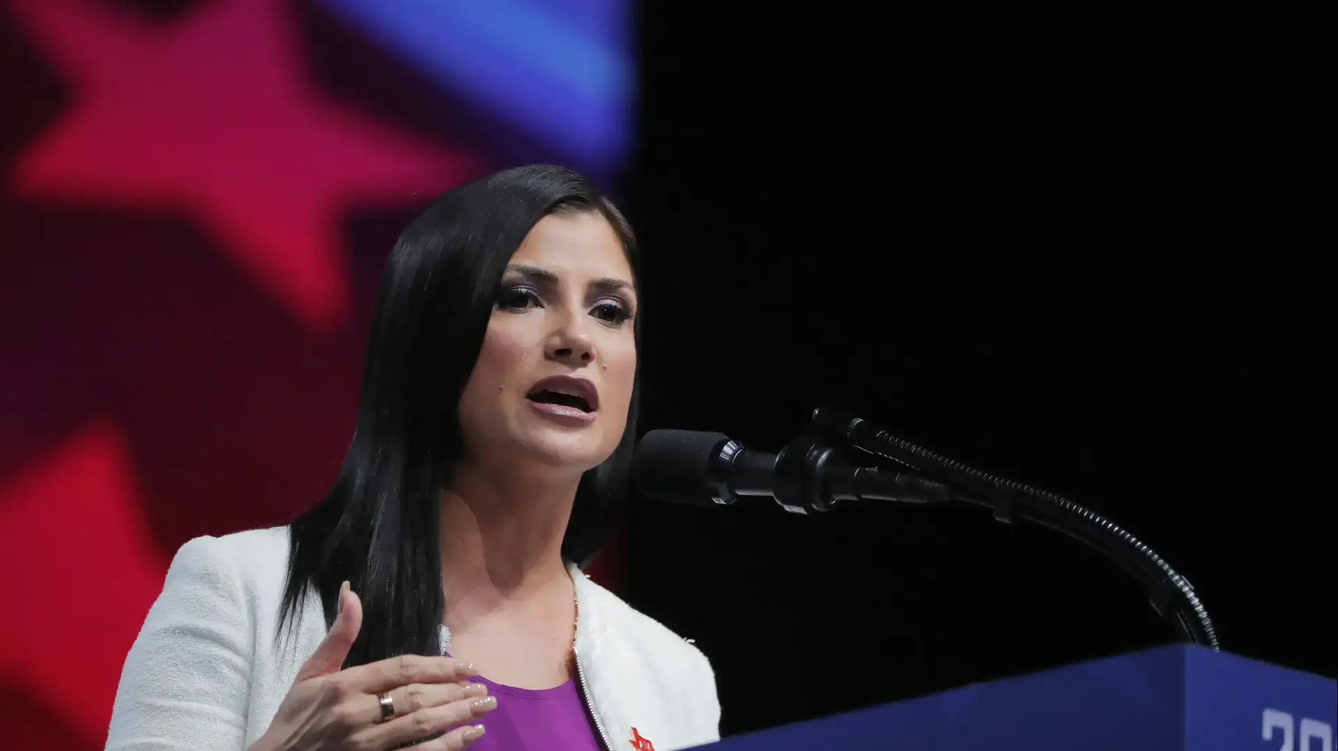 דוברת איגוד הרובאים הלאומי דנה לאש בכנס ה-NRA בדאלאס ב-5 במאי 2018 דוברת איגוד הרובאים הלאומי דנה לאש בכנס ה-NRA בדאלאס ב-5 במאי 2018