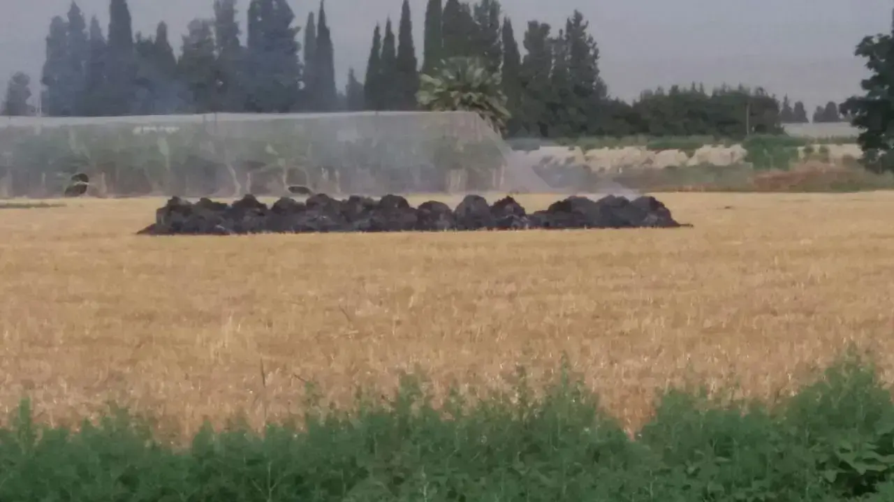 ערימות חציר שהוצתו בשדה סמוך לקיבוץ אפיקים שבגבול ירדן. 4 במאי 2018