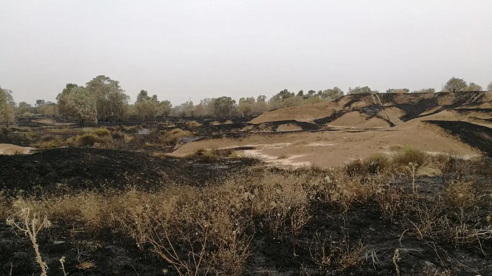 נזקי שריפות בדרום 6 במאי 2018 נזקי שריפות בדרום 6 במאי 2018