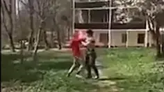 האלק נגד פופאי