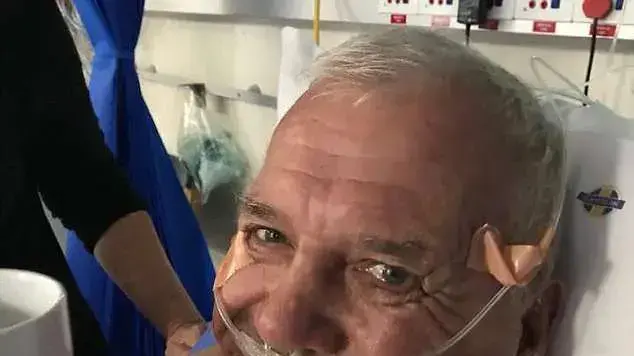אריה תקף מנהל גן חיות אריה תקף מנהל גן חיות
