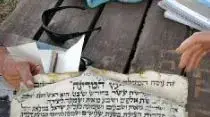 מגילה שהוטמנה בשורשי עץ בדגניה בטו בשבט וקרסו לפני שבועיים מגילה שהוטמנה בשורשי עץ בדגניה בטו בשבט וקרסו לפני שבועיים