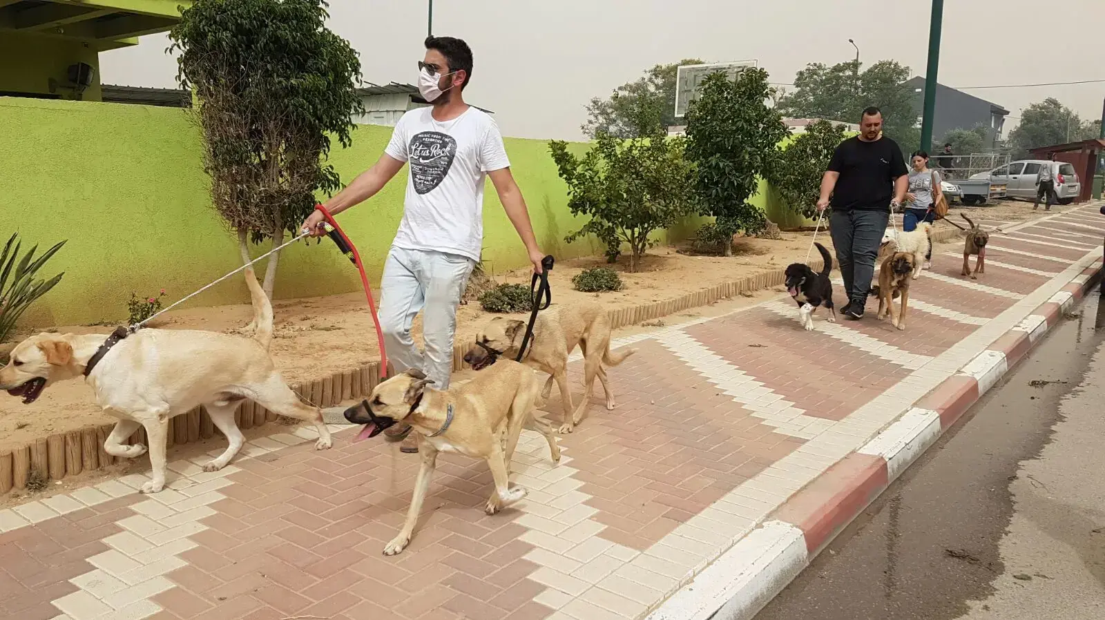 פינוי כלבים מהשריפה בגילת, 10 במאי 2018 פינוי כלבים מהשריפה בגילת, 10 במאי 2018