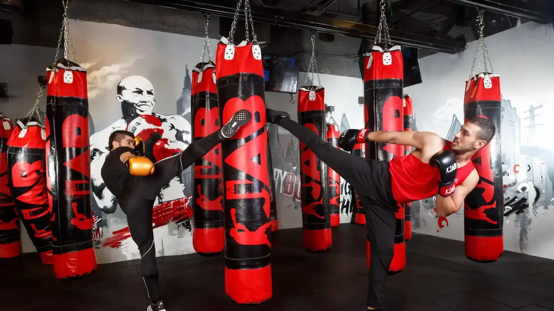 THNUI אגרוף וקיקבוקסינג על שקים THNUI אגרוף וקיקבוקסינג על שקים