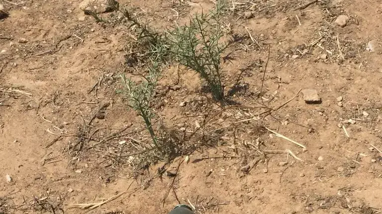 הממצאים שנתפסו מזירת האירוע המחבלים, 15 במאי 2018 הממצאים שנתפסו מזירת האירוע המחבלים, 15 במאי 2018